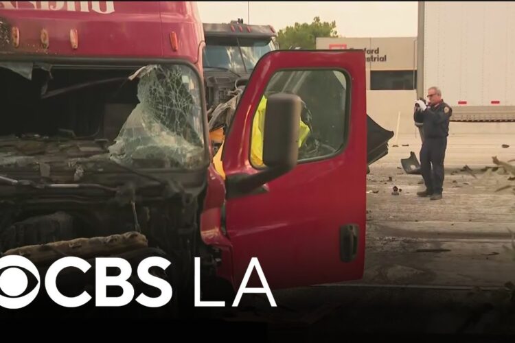 Trial of semi-truck driver in deadly Ontario freeway crash continues