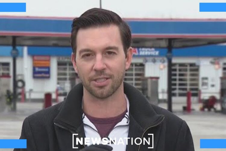 DHS targeting truck drivers in US illegally amid deadly crash | NewsNation Live