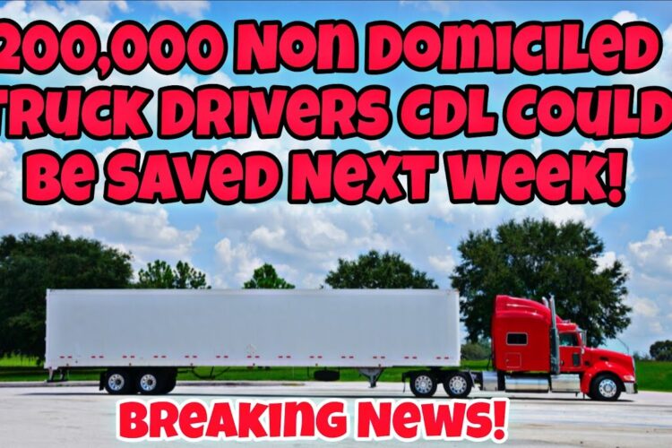 Breaking News! 200,000 Non Domiciled Truck Drivers CDL Could Be Saved Next Week!