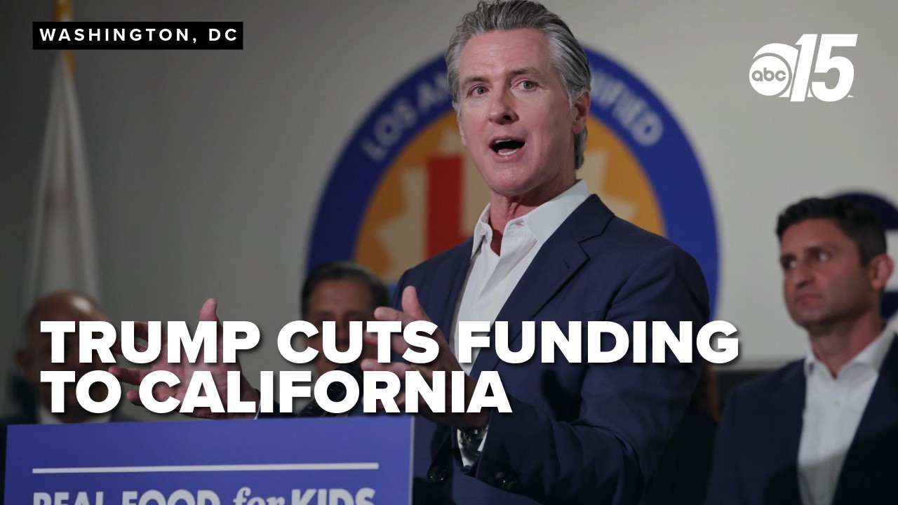 California loses funding over Newsom’s refusal to require English proficiency for truck drivers