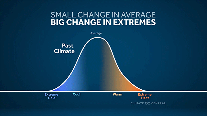 CM: Attribution Science - Bell Curve 2025 (EN)