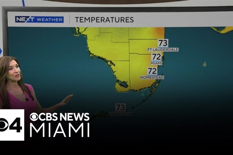 Isolated showers, breezy conditions expected in South Florida Monday