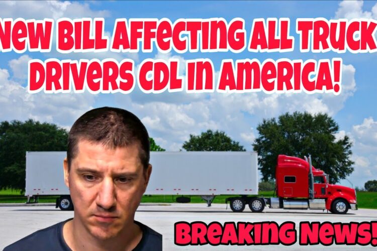Major Crash Update! Sean Duffy Exposes More Trucking Companies Will Go Bankrupt! New CDL Bill!