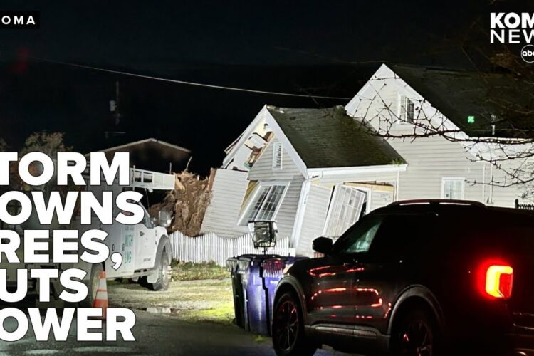 Storm with damaging winds cuts power to thousands, downs trees