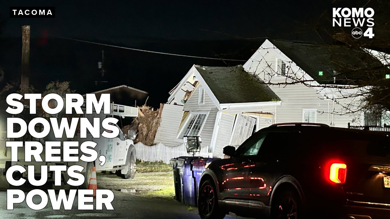 Storm with damaging winds cuts power to thousands, downs trees