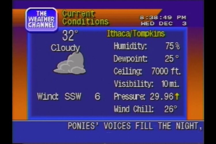 THWC25 Weather Forecast
