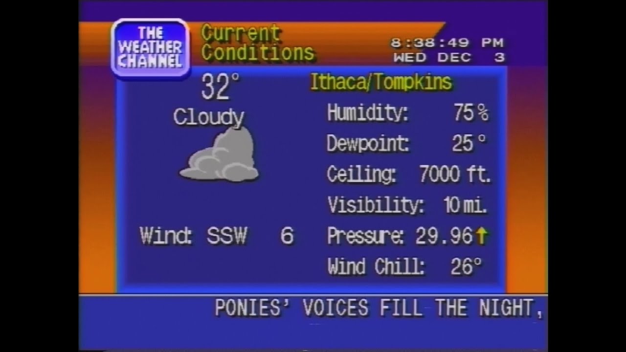 THWC25 Weather Forecast