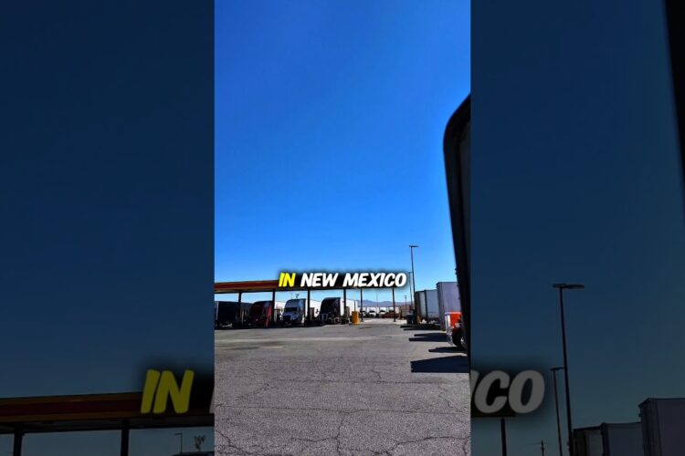 The Toughest States for Truck Drivers #trucking #trucker #truckerslife #shorts #viralshorts